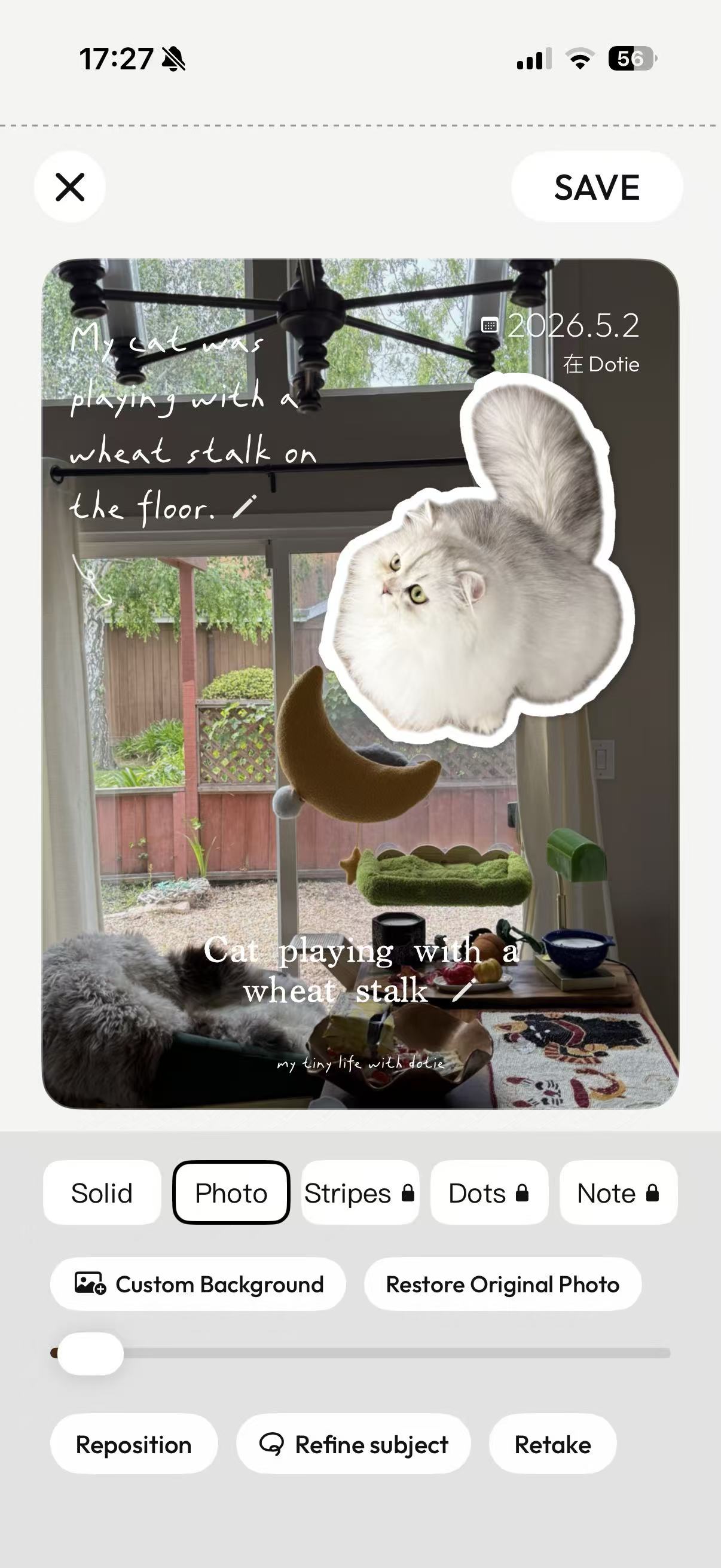 dotie card editor with a cat sticker and background controls